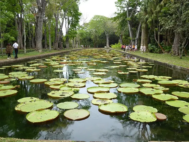 Mauritius Escape 2